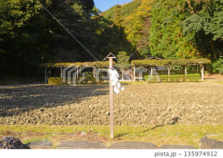 三重県伊勢市猿田彦神社裏の御神田-1 135974912
