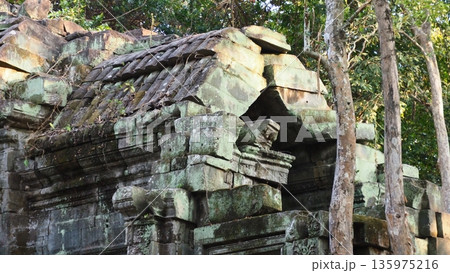 アンコールワット ベン メリア遺跡 135975216