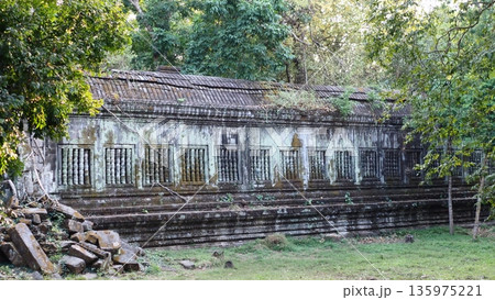 アンコールワット ベン メリア遺跡 135975221
