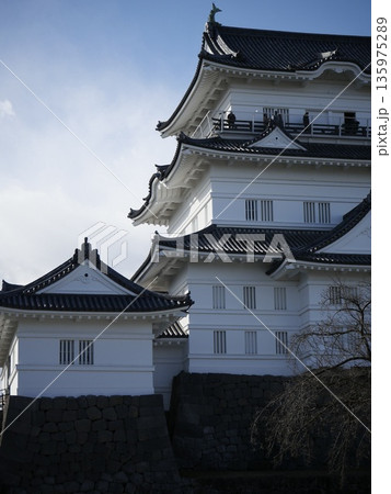 逆光の小田原城 逆光の小田原城 135975289