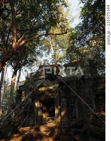アンコールワット ベン メリア遺跡 アンコールワット ベン メリア遺跡 135975344