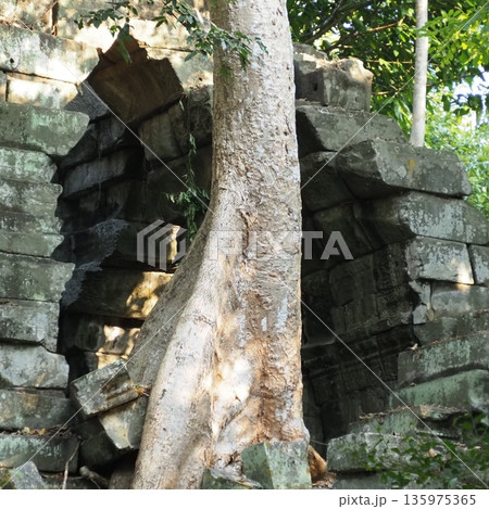 アンコールワット ベン メリア遺跡 アンコールワット ベン メリア遺跡 135975365