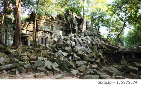 アンコールワット ベン メリア遺跡 135975374