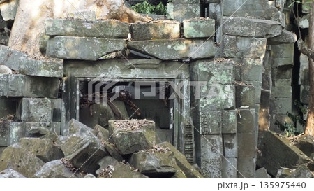 アンコールワット ベン メリア遺跡 アンコールワット ベン メリア遺跡 135975440