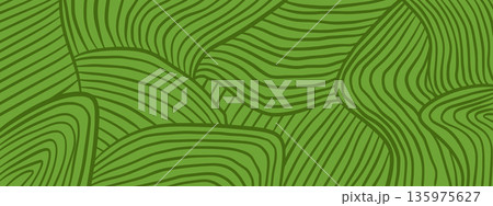 Farm field pattern. Eco vineyard agriculture landscape Farm field pattern. Eco vineyard agriculture landscape 135975627