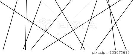 Random diagonal line pattern. Thin black straight strokes. Minimal geometric bg. 135975653