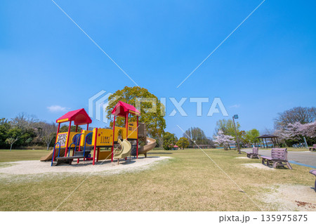 三重県　鈴鹿市　鈴鹿青少年の森　春の公園のイメージ 135975875