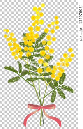 Mimosa bouquet (pink ribbon) Mimosa bouquet (pink ribbon) 135976084