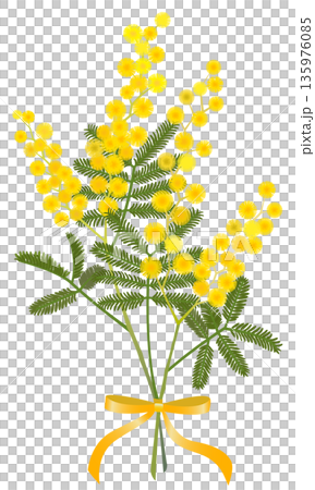 ミモザの花束（黄色リボン） 135976085