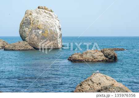 三陸復興国立公園のシンボルとして親しまれる種差海岸・白石と太平洋のダイナミックな景観 135976356