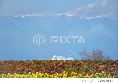 早咲き菜花と黄砂で霞む琵琶湖と雪の比良山 135976411