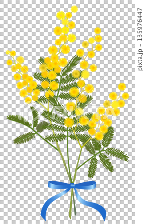 Mimosa bouquet (light blue ribbon) Mimosa bouquet (light blue ribbon) 135976447