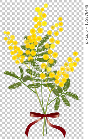 含羞草花束(紅色絲帶) 含羞草花束(紅色絲帶) 135976448