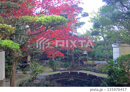 猿田彦神社境内の子宝池と紅葉 猿田彦神社境内の子宝池と紅葉 135976457