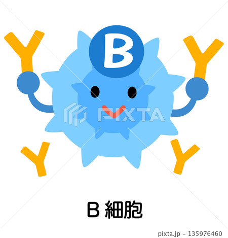 B細胞　キャラクター 135976460