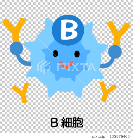 B細胞　キャラクター 135976460