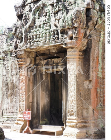 カンボジア タ・プローム遺跡 135976465