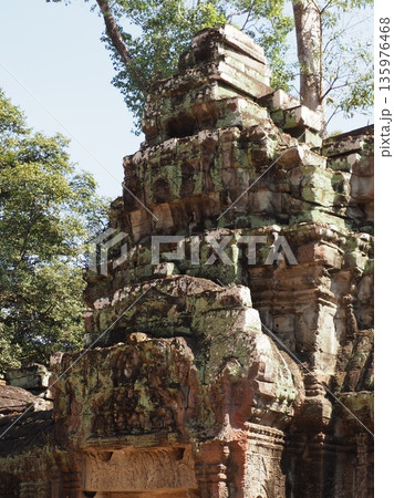 カンボジア タ・プローム遺跡 135976468