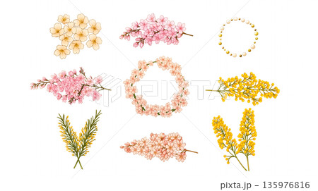 春のボタニカルリース、植物とリボンのイラスト、フローラルフレーム素材、春の飾り枠、ナチュラルな装飾 135976816
