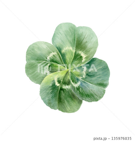Rare four leaf clover,iconic symbol of luck and Saint Patricks Day.Watercolor vibrant green clip art with delicate detail for holiday cards,Irish themed designs,festive spring branding,wedding Rare four leaf clover,iconic symbol of luck and Saint Patricks Day.Watercolor vibrant green clip art with delicate detail for holiday cards,Irish themed designs,festive spring branding,wedding 135976835