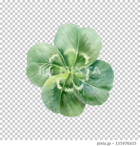 Rare four leaf clover,iconic symbol of luck and Saint Patricks Day.Watercolor vibrant green clip art with delicate detail for holiday cards,Irish themed designs,festive spring branding,wedding Rare four leaf clover,iconic symbol of luck and Saint Patricks Day.Watercolor vibrant green clip art with delicate detail for holiday cards,Irish themed designs,festive spring branding,wedding 135976835