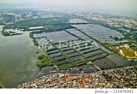Aerial view of mangroves, a natural residential fortress, Jakarta Bay, Indonesia Aerial view of mangroves, a natural residential fortress, Jakarta Bay, Indonesia 135976942