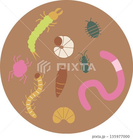 かわいい土の中の虫イラスト・茶色 かわいい土の中の虫イラスト・茶色 135977000