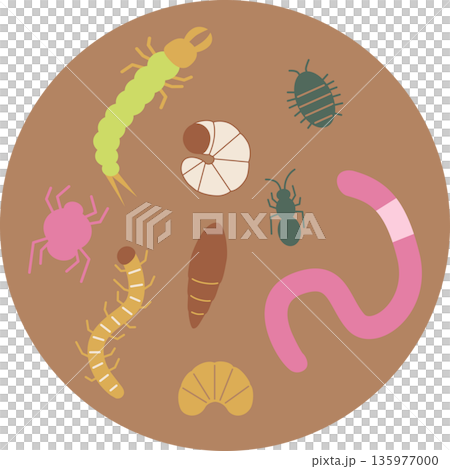 かわいい土の中の虫イラスト・茶色 かわいい土の中の虫イラスト・茶色 135977000