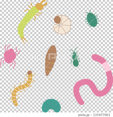 かわいい土の中の虫イラスト・白バック かわいい土の中の虫イラスト・白バック 135977001