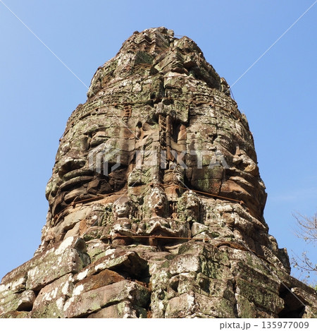 カンボジア タ・プローム遺跡 135977009