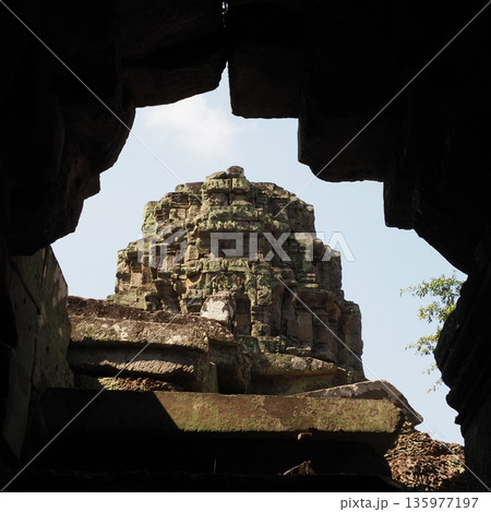 カンボジア タ・プローム遺跡 135977197