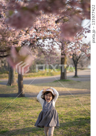 桜の咲く公園で遊ぶ女の子の縦画像 135977422