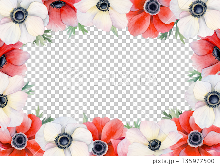 Romantic red and white anemone poppies horizontal frame template with copy space for floral greeting cards. Spring blooming flowers watercolor clip art for Valentine's and Mother's Day A5 designs Romantic red and white anemone poppies horizontal frame template with copy space for floral greeting cards. Spring blooming flowers watercolor clip art for Valentine's and Mother's Day A5 designs 135977500