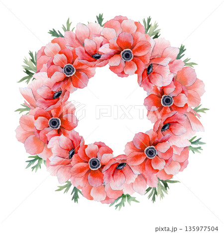 Lush red poppies round wreath with green leaves watercolor illustration isolated on white. Sticker template with copy space for spring floral designs. Botanical drawing with field anemones flowers 135977504