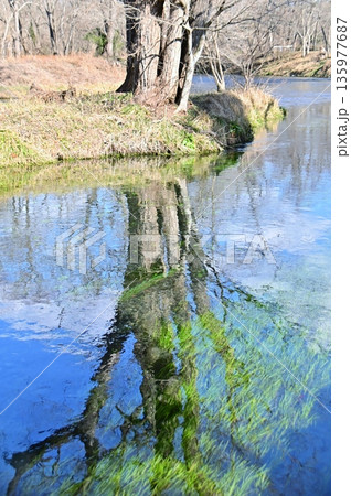 蓼川の水面に映り込む景色 蓼川の水面に映り込む景色 135977687