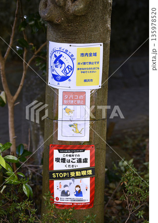 日本の横浜都市景観 禁止「歩きたばこ・ポイ捨て禁止」市内全域…など 高齢者のポイ捨て増加…=横浜市内 日本の横浜都市景観 禁止「歩きたばこ・ポイ捨て禁止」市内全域…など 高齢者のポイ捨て増加…=横浜市内 135978520