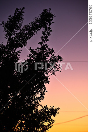 夕焼けの風景 135978769