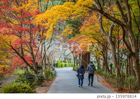 森町の遠江国一宮小國神社の紅葉の風景(静岡県) 135978814