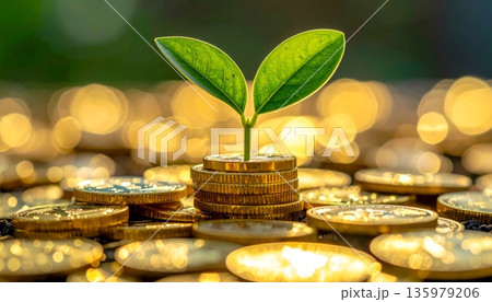 A green tree sprouting from a pile of gold coins symbolizes a successful business investment concept. A green tree sprouting from a pile of gold coins symbolizes a successful business investment concept. 135979206