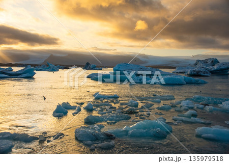 Icebergs float in Iceland's glacier lagoon, reflecting the warm colors of sunset. Birds fly above, adding life to the tranquil scene. This location is a must-see for nature enthusiasts. Icebergs float in Iceland's glacier lagoon, reflecting the warm colors of sunset. Birds fly above, adding life to the tranquil scene. This location is a must-see for nature enthusiasts. 135979518