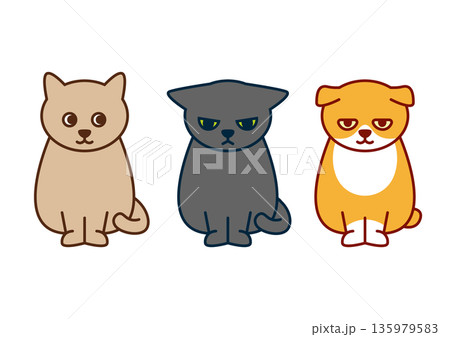 3匹の猫のイラストセット 135979583