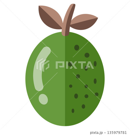 Vibrant Green Guava Fruit with Leaves and Textured Skin Flat Vector Illustration on White 135979781