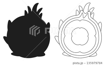 Dragon Fruit Round Form Outline and Silhouette Icon Set for Minimalist Design Concepts Dragon Fruit Round Form Outline and Silhouette Icon Set for Minimalist Design Concepts 135979784