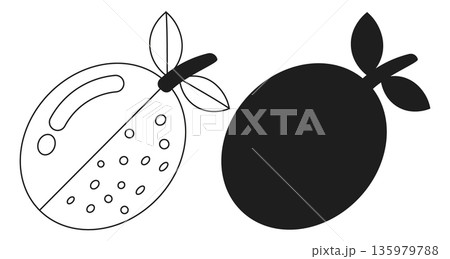 Guava Fruit Outline and Silhouette Vector Icons with Internal Details for Health and Diet Concepts 135979788
