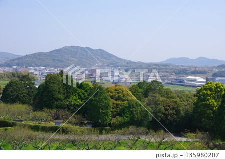 兵庫県南あわじ市　広田梅林ふれあい公園から洲本・三熊山方面を望む 135980207
