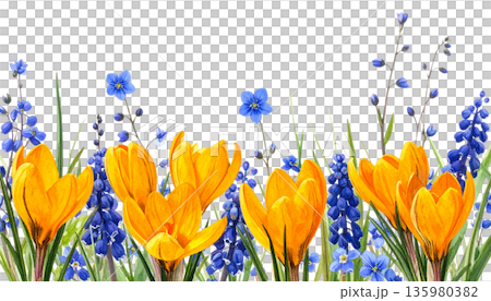 Vibrant flowers stand out in a frame made of colorful spring blossoms and green foliage against a white background. 135980382