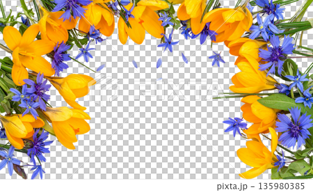Vibrant flowers stand out in a frame made of colorful spring blossoms and green foliage against a white background. 135980385