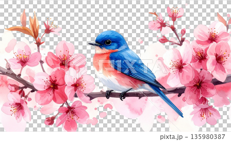 A beautiful bird with brightly colored feathers perches on a lush green branch against a white background. 135980387