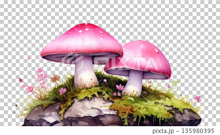 mushrooms isolated on white background 135980395