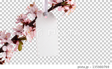 Pink cherry blossom branches in full bloom create a beautiful natural spring landscape, adorned with cherry blossom patterns against a white background. 135980769